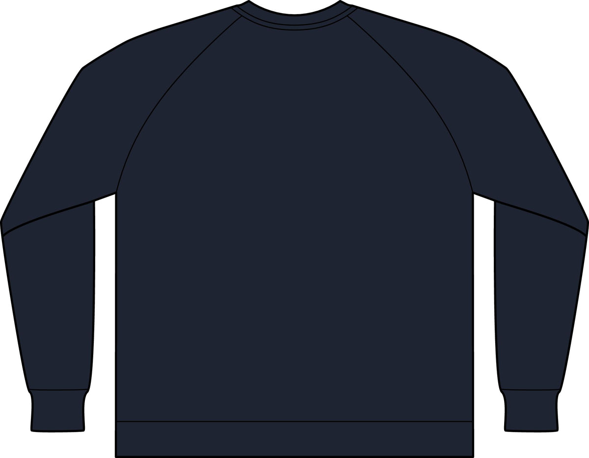 "If It's Weird, It's Important" Unisex Drop Shoulder Sweatshirt